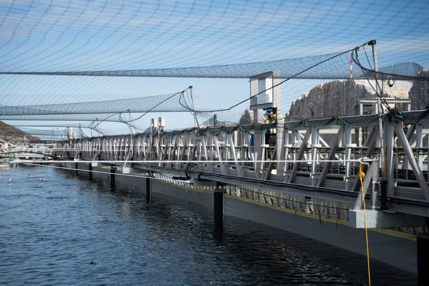 Installerte GRP-gangbaner ved Gigante Salmon Rødøy
