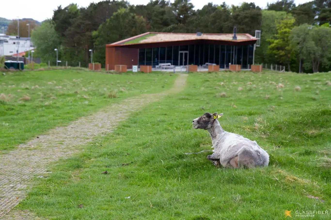 The Iron Age Farm