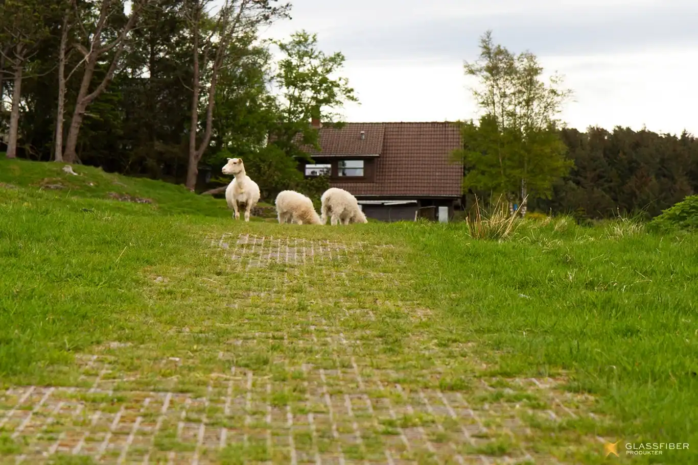 The Iron Age Farm